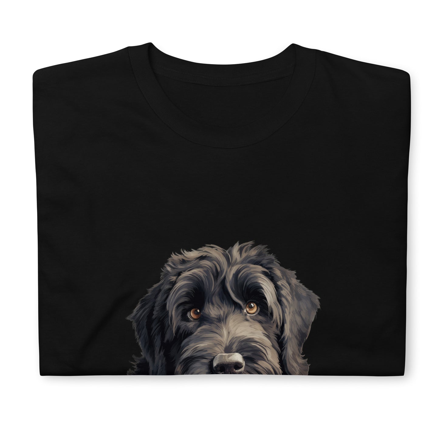 Black-Russian-Terrier