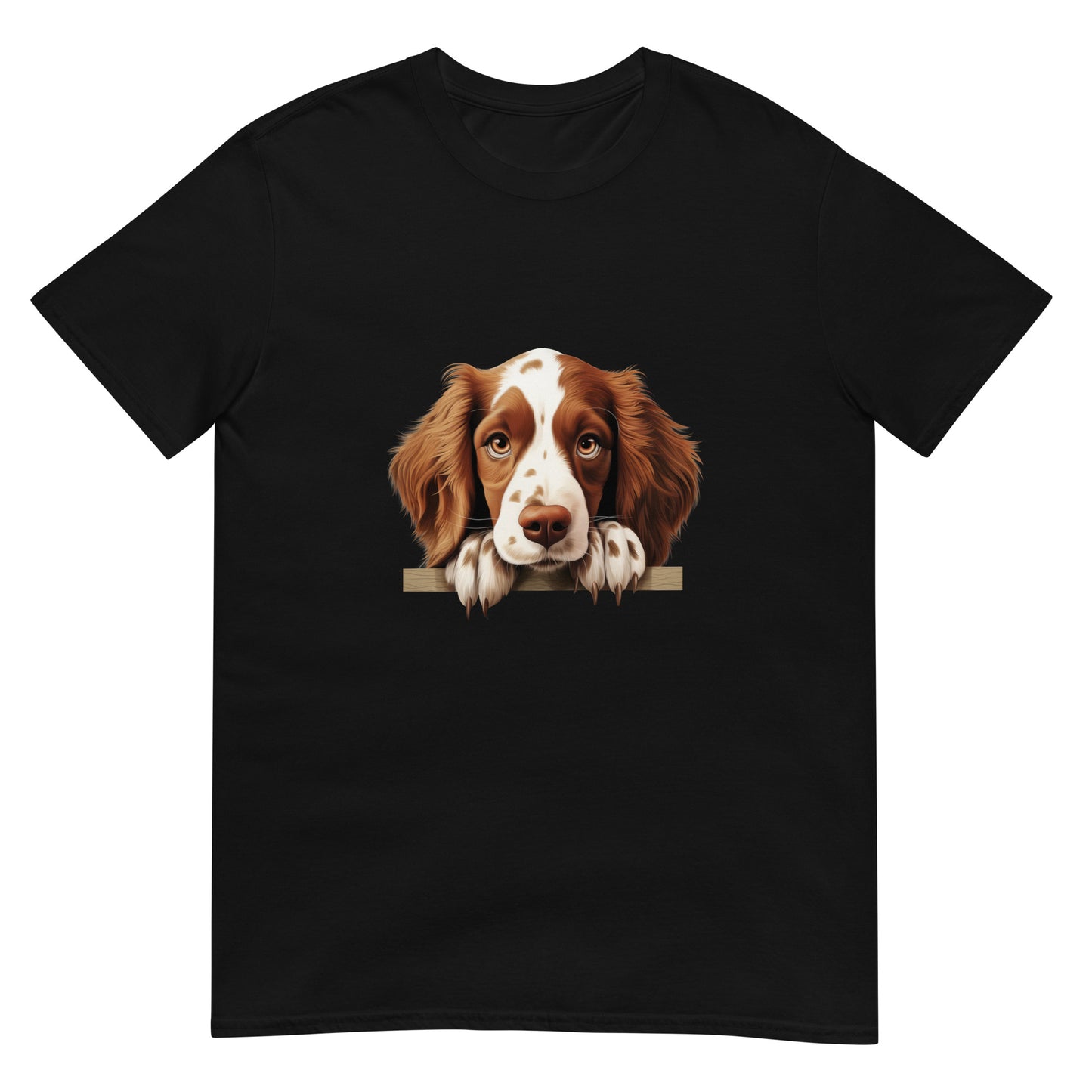 Welsh-Springer-Spaniel