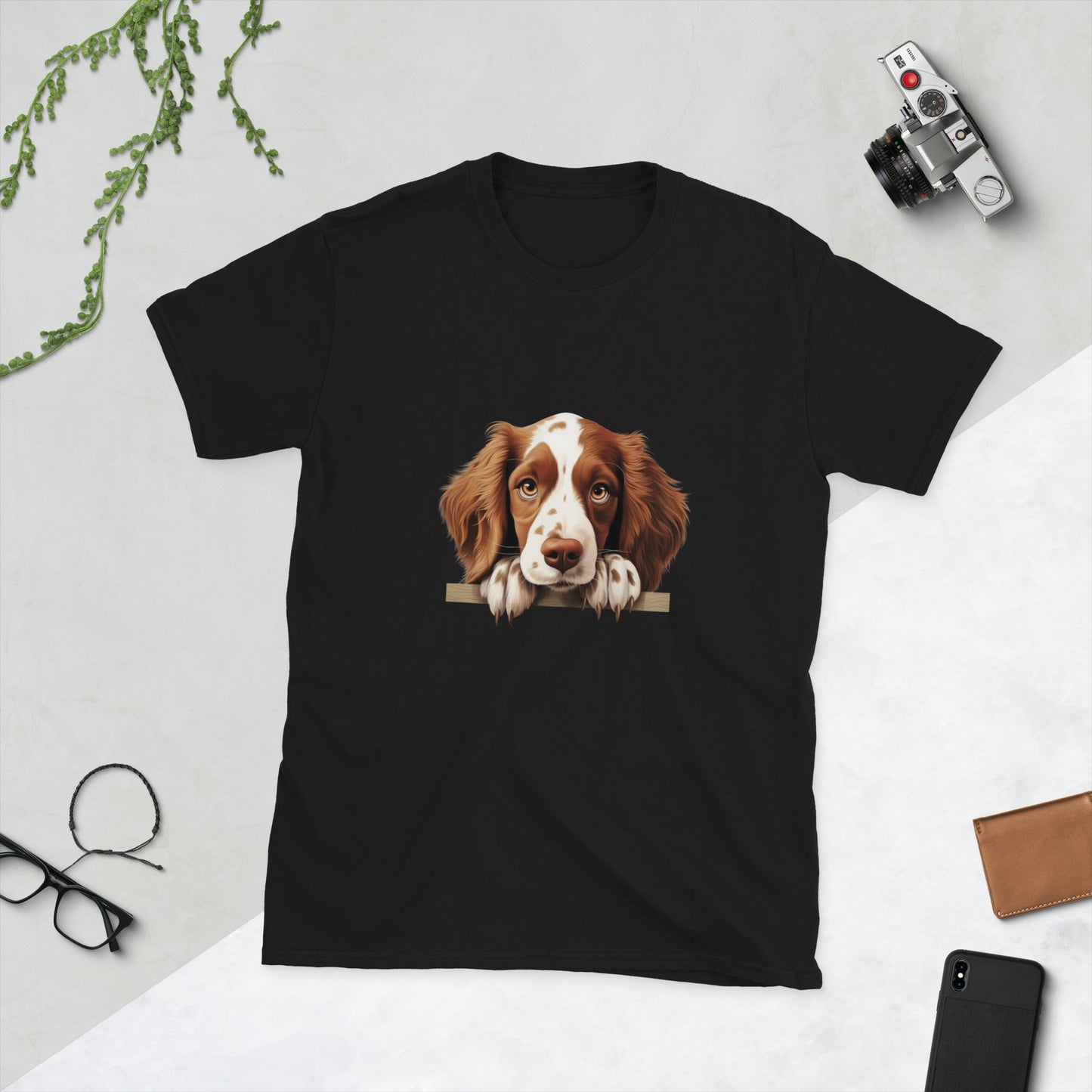 Welsh-Springer-Spaniel