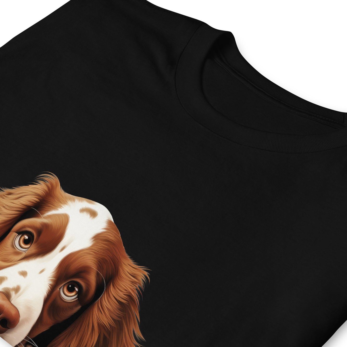 Welsh-Springer-Spaniel