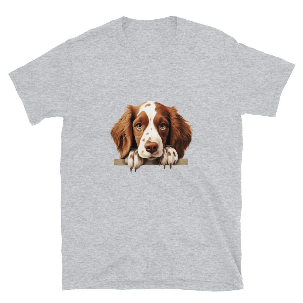 Welsh-Springer-Spaniel