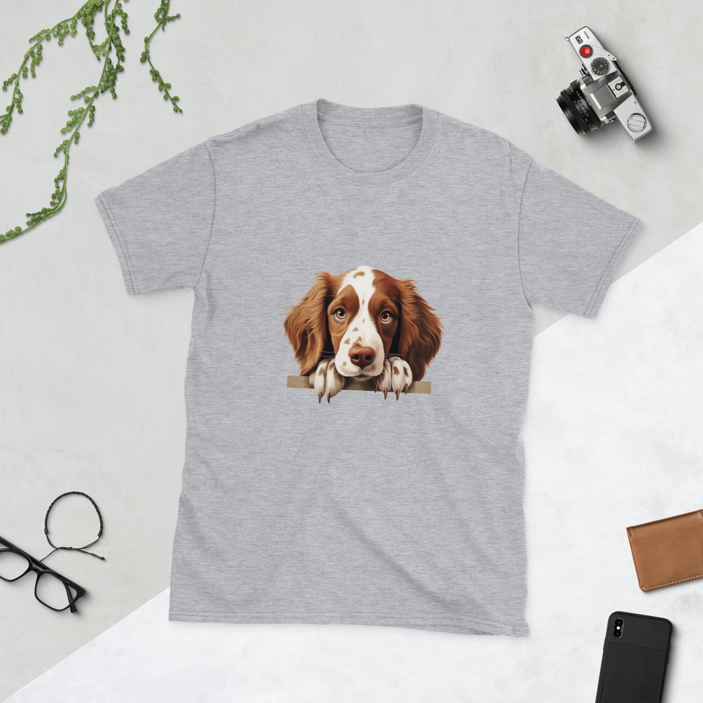 Welsh-Springer-Spaniel