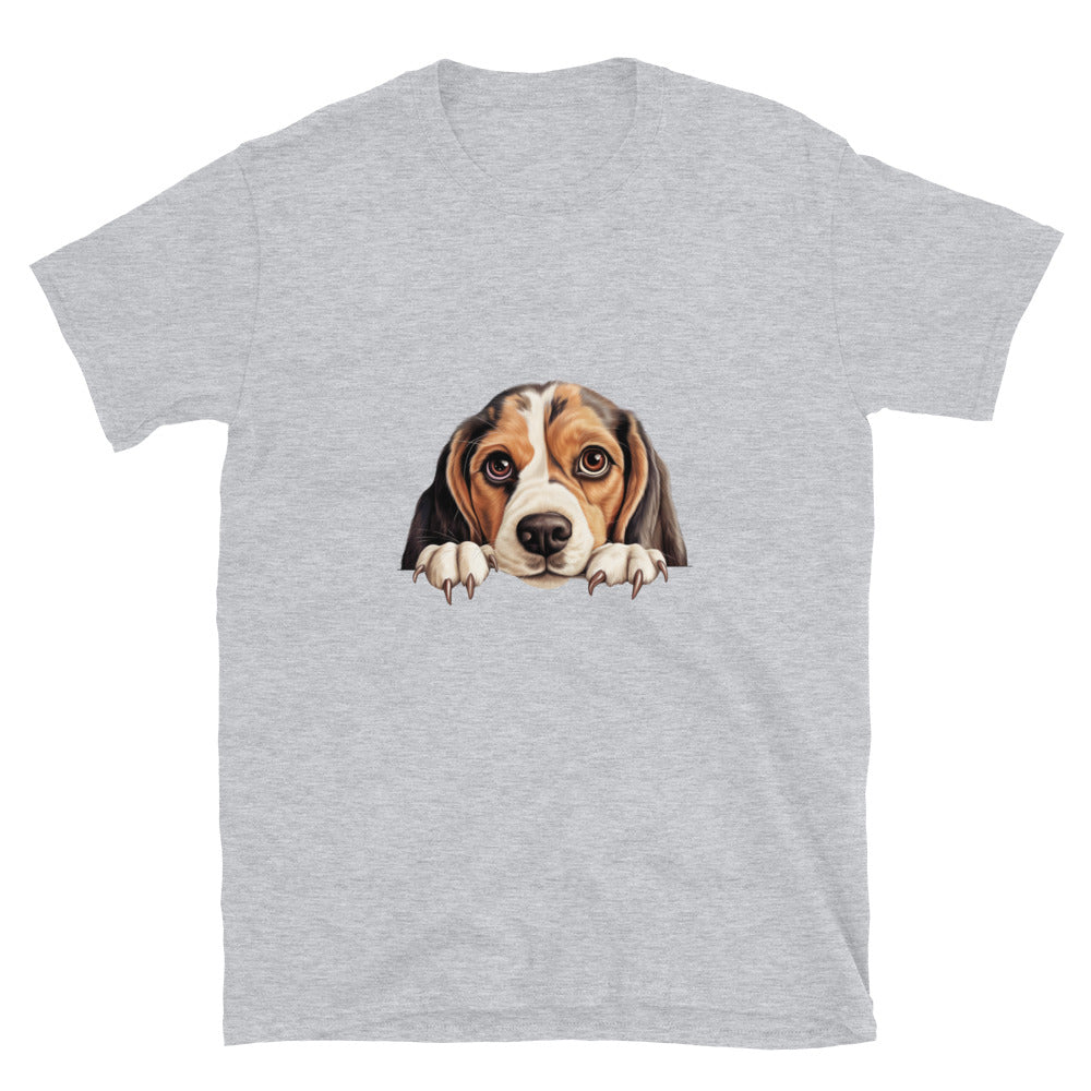 Beagle