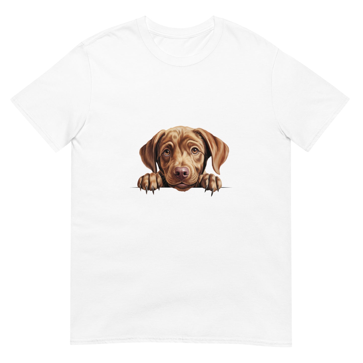 Labrador-Retriever