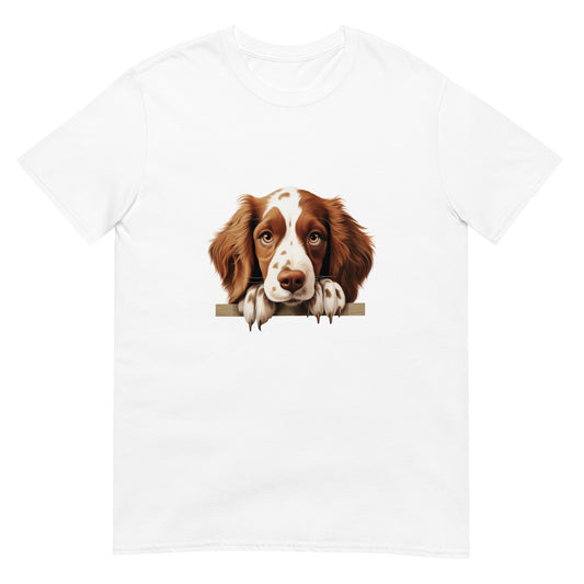 Welsh-Springer-Spaniel