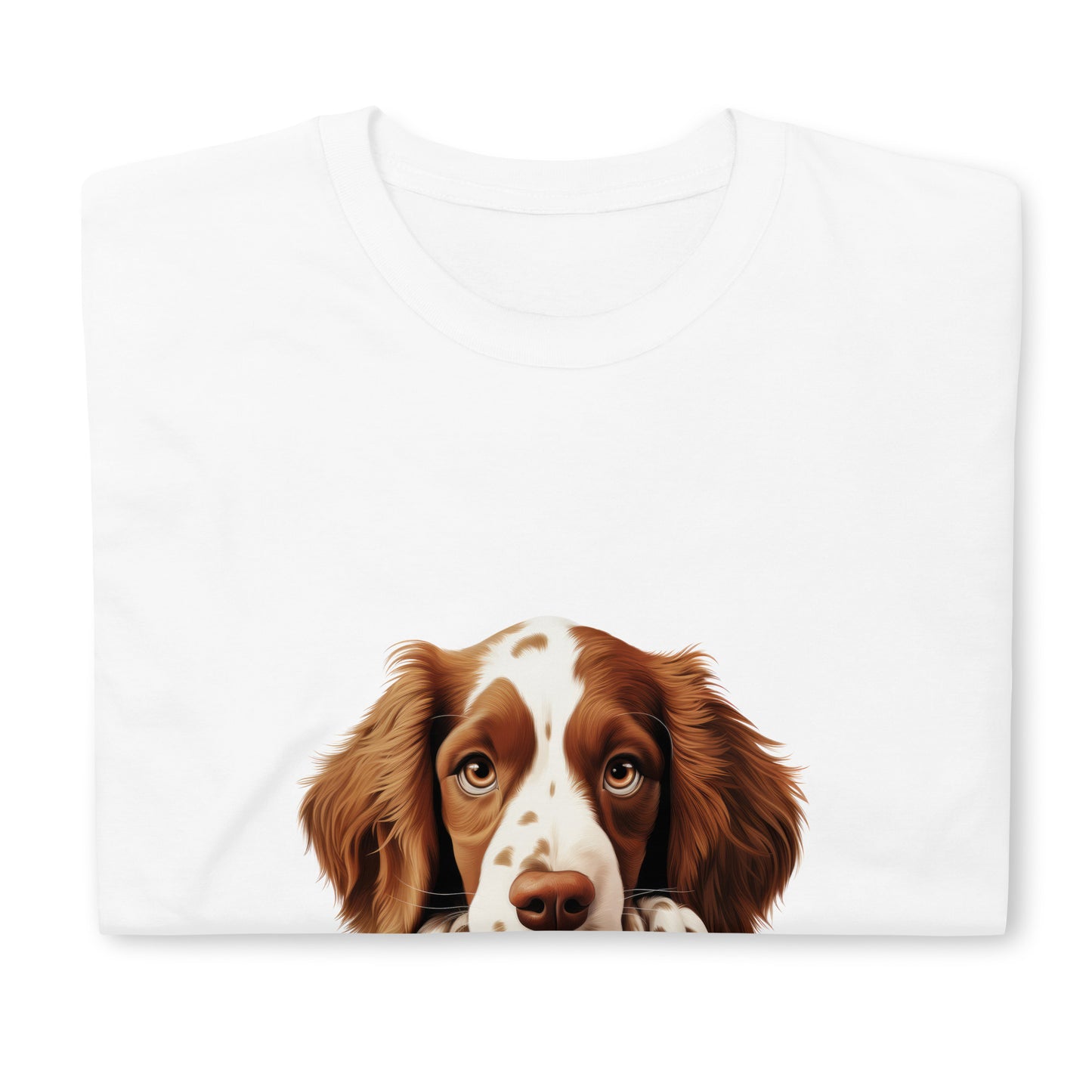 Welsh-Springer-Spaniel