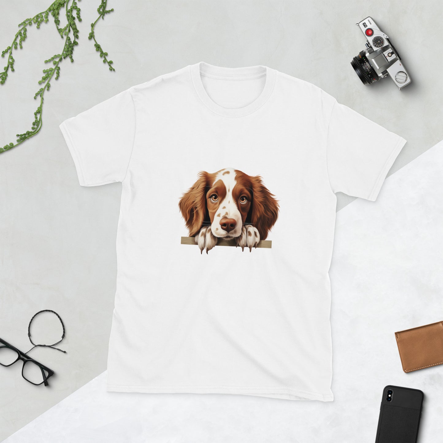 Welsh-Springer-Spaniel