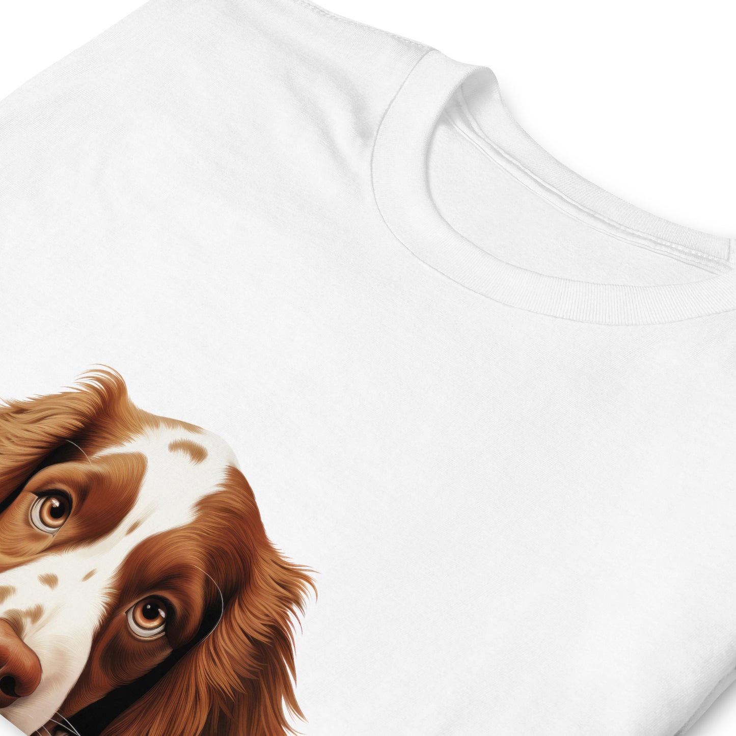 Welsh-Springer-Spaniel